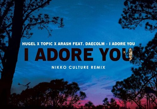 HUGEL x Topic x Arash feat. Daecolm — I Adore You